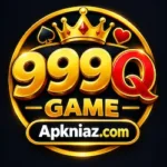 999Q Game