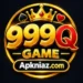 999Q Game