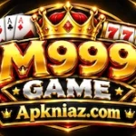 M999 Game